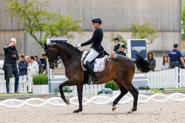 * Deutsche Meisterschaft Dressur Balve, Reitanlage Schloss Wocklum 04. June 2026 -