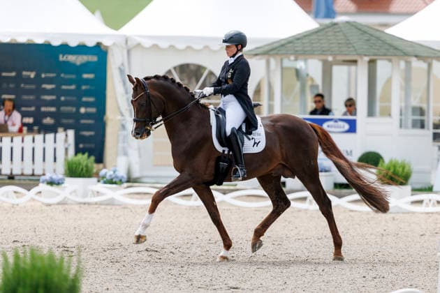* Deutsche Meisterschaft Dressur Balve, Reitanlage Schloss Wocklum 04. June 2026 -