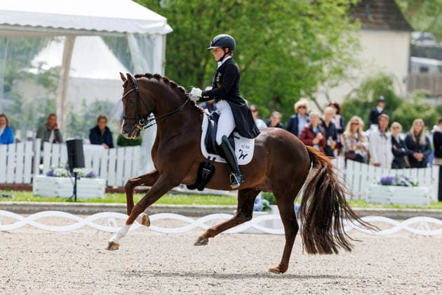 * Deutsche Meisterschaft Dressur Balve, Reitanlage Schloss Wocklum 04. June 2026 -