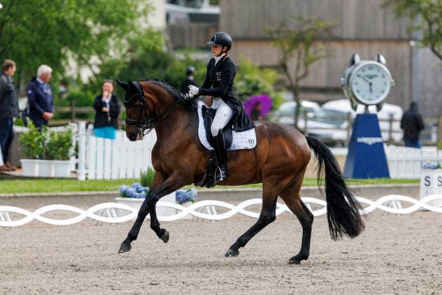 BALVE LONGINES Balve Optimum 2026, BALVE LONGINES Balve Optimum 2026 SCHUSTER Katharina GER , Qence L PIAFF FOÌˆRDERPREIS Preis der Liselott Schindling Stiftung German Championships Dressage U25 U25 Intermediare II Balve, riding facility Schloss Wocklum 04 June 2026