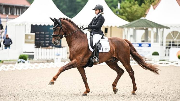 Balve Optimum on Friday, June 5, 2026 FOR EDITORIAL PURPOSES ONLY EDITORIAL USE ONLY p Helen Schildhauer on Vulkan Vegas IBat the 360 Grad Sportpferde German Championships Para Dressage Grade IV and V on Friday, June 5, 2026 at the Balve Optimum in Balve Copyright SvenjaxHanusch Copyright: SvenjaxHanusch doc865opgpuncmfd18g7zx ,EDITORIAL USE ONLY Copyright: SvenjaxHanusch