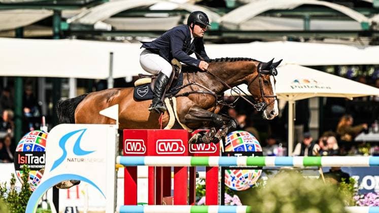 Balve Optimum on Friday, June 5, 2026 FOR EDITORIAL PURPOSES ONLY EDITORIAL USE ONLY p Benjamin Wulschner on Castle Camiro at the Preis der Merkur Spielbanken CSI2 International show jumping competition on Friday, June 5, 2026 at the Balve Optimum in Balve Copyright SvenjaxHanusch Copyright: SvenjaxHanusch doc865qxv3t68o7p2u1w69 ,EDITORIAL USE ONLY Copyright: SvenjaxHanusch