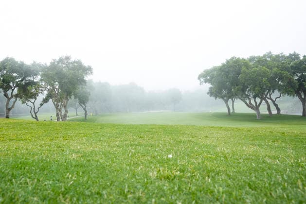 June 6, 2026, Cadiz, Cadiz, SPAIN: General view during day three of the LIV Golf Andalucia at Golf Club Royal of Valderrama on June 6, 2026 in Cadiz, Spain. LIV Golf Andalucia 2026 - Day Three  - ZUMAa181 20260606_zaa_a181_007 Copyright: xJoaquoÂ­NxCorcherox