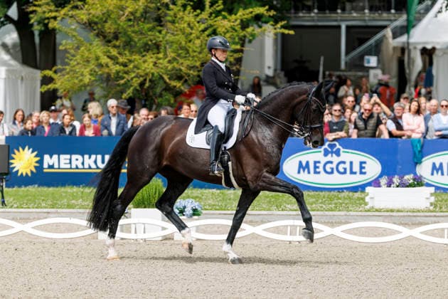 * Grand Prix Special KLAUS RHEINBERGER MEMORIAL 2026 Balve, Reitanlage Schloss Wocklum 06. June 2026 -