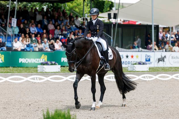 * Grand Prix Special KLAUS RHEINBERGER MEMORIAL 2026 Balve, Reitanlage Schloss Wocklum 06. June 2026 -