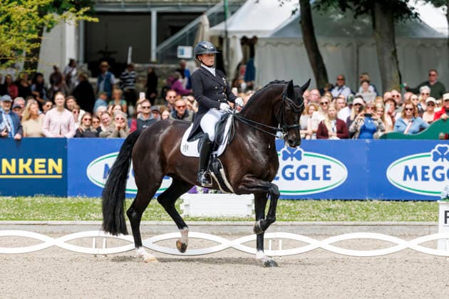 * Grand Prix Special KLAUS RHEINBERGER MEMORIAL 2026 Balve, Reitanlage Schloss Wocklum 06. June 2026 -