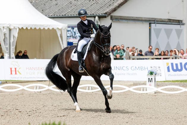 * Grand Prix Special KLAUS RHEINBERGER MEMORIAL 2026 Balve, Reitanlage Schloss Wocklum 06. June 2026 -