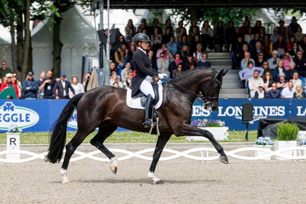 * Grand Prix Special KLAUS RHEINBERGER MEMORIAL 2026 Balve, Reitanlage Schloss Wocklum 06. June 2026 -