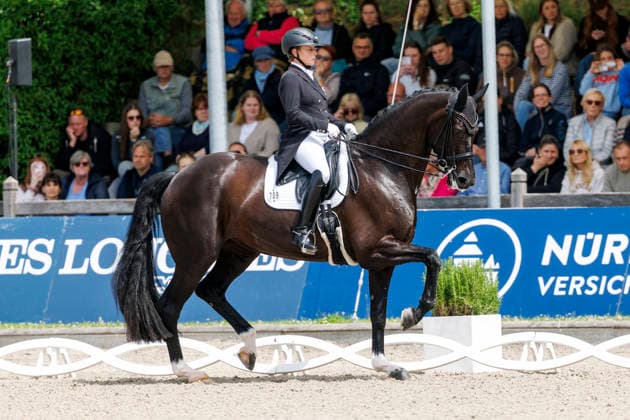 * Grand Prix Special KLAUS RHEINBERGER MEMORIAL 2026 Balve, Reitanlage Schloss Wocklum 06. June 2026 -