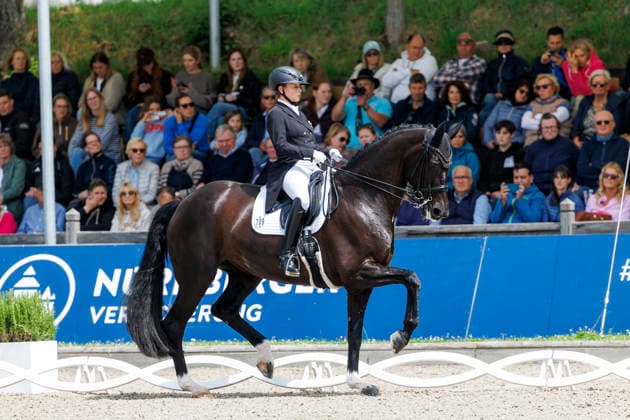 * Grand Prix Special KLAUS RHEINBERGER MEMORIAL 2026 Balve, Reitanlage Schloss Wocklum 06. June 2026 -