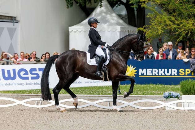 * Grand Prix Special KLAUS RHEINBERGER MEMORIAL 2026 Balve, Reitanlage Schloss Wocklum 06. June 2026 -