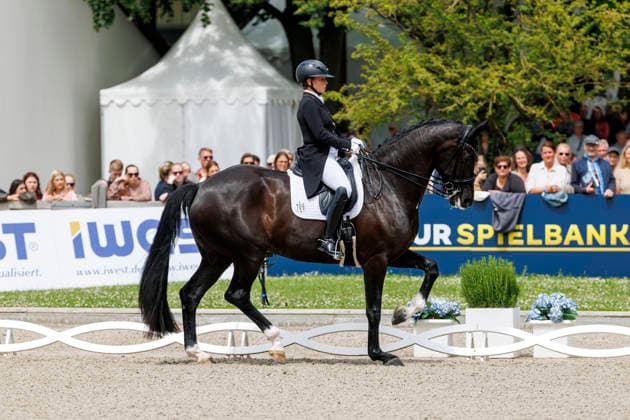 * Grand Prix Special KLAUS RHEINBERGER MEMORIAL 2026 Balve, Reitanlage Schloss Wocklum 06. June 2026 -