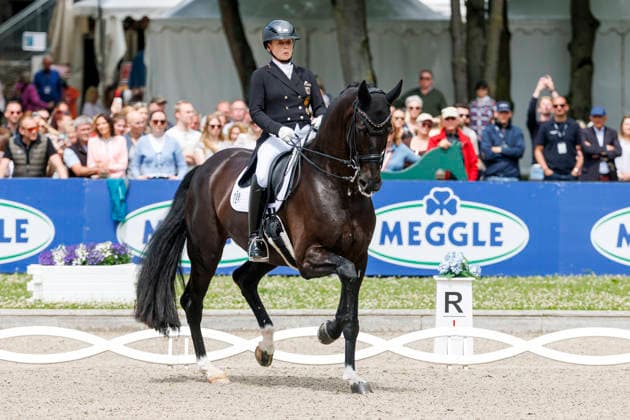 * Grand Prix Special KLAUS RHEINBERGER MEMORIAL 2026 Balve, Reitanlage Schloss Wocklum 06. June 2026 -