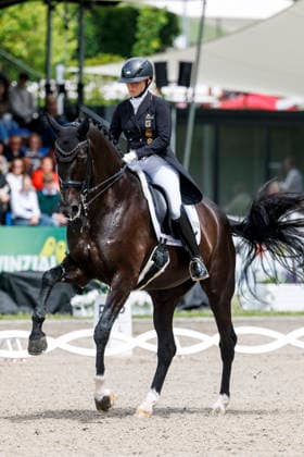 * Grand Prix Special KLAUS RHEINBERGER MEMORIAL 2026 Balve, Reitanlage Schloss Wocklum 06. June 2026 -