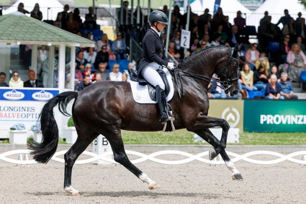 * Grand Prix Special KLAUS RHEINBERGER MEMORIAL 2026 Balve, Reitanlage Schloss Wocklum 06. June 2026 -