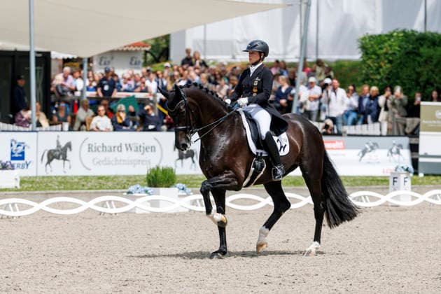 * Grand Prix Special KLAUS RHEINBERGER MEMORIAL 2026 Balve, Reitanlage Schloss Wocklum 06. June 2026 -