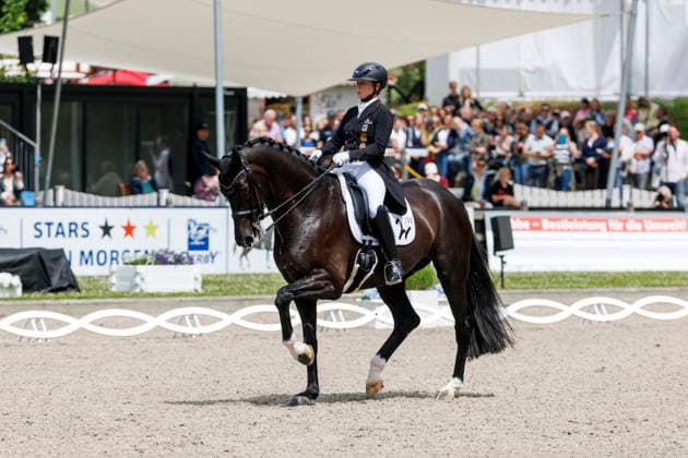 * Grand Prix Special KLAUS RHEINBERGER MEMORIAL 2026 Balve, Reitanlage Schloss Wocklum 06. June 2026 -