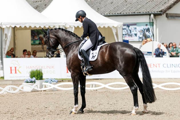 * Grand Prix Special KLAUS RHEINBERGER MEMORIAL 2026 Balve, Reitanlage Schloss Wocklum 06. June 2026 -