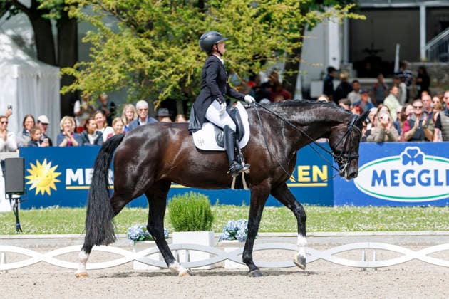 * Grand Prix Special KLAUS RHEINBERGER MEMORIAL 2026 Balve, Reitanlage Schloss Wocklum 06. June 2026 -