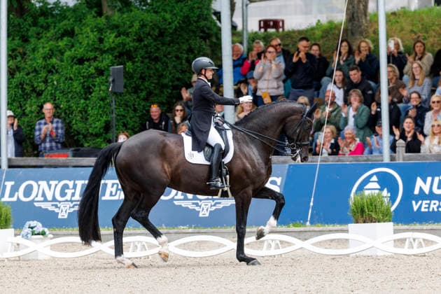 * Grand Prix Special KLAUS RHEINBERGER MEMORIAL 2026 Balve, Reitanlage Schloss Wocklum 06. June 2026 -