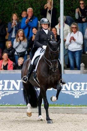 * Grand Prix Special KLAUS RHEINBERGER MEMORIAL 2026 Balve, Reitanlage Schloss Wocklum 06. June 2026 -