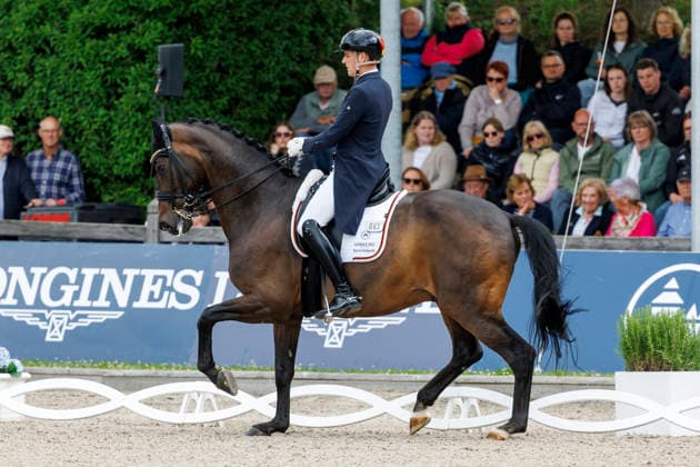 * Grand Prix Special KLAUS RHEINBERGER MEMORIAL 2026 Balve, Reitanlage Schloss Wocklum 06. June 2026 -