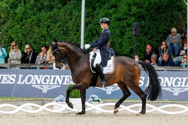 * Grand Prix Special KLAUS RHEINBERGER MEMORIAL 2026 Balve, Reitanlage Schloss Wocklum 06. June 2026 -
