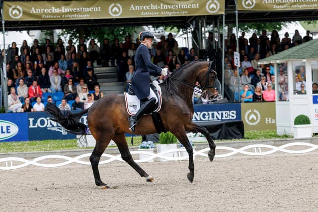 * Grand Prix Special KLAUS RHEINBERGER MEMORIAL 2026 Balve, Reitanlage Schloss Wocklum 06. June 2026 -