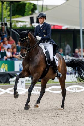 * Grand Prix Special KLAUS RHEINBERGER MEMORIAL 2026 Balve, Reitanlage Schloss Wocklum 06. June 2026 -