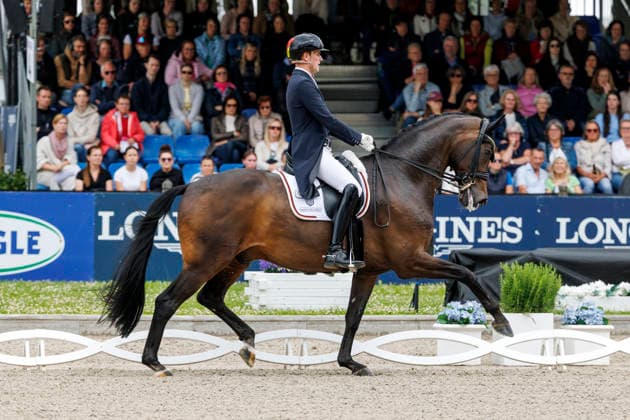 * Grand Prix Special KLAUS RHEINBERGER MEMORIAL 2026 Balve, Reitanlage Schloss Wocklum 06. June 2026 -