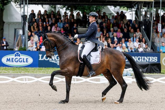 * Grand Prix Special KLAUS RHEINBERGER MEMORIAL 2026 Balve, Reitanlage Schloss Wocklum 06. June 2026 -