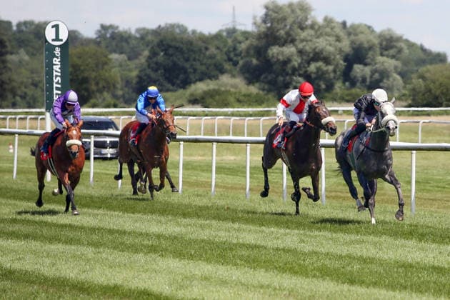 Equestrian sport, Gallop, Race day in Iffezheim