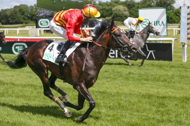06 06 2026, Iffezheim, Baden Wuerttemberg, GER Seguro with Benjamin Marie wins the Japan Racing Association Derby Trial Galopprennbahn Baden Baden, Iffezheim Horse, Jockey, Seguro, Marie, Victory, Finish, Finish 260606B990IFFEZHEIM JPG