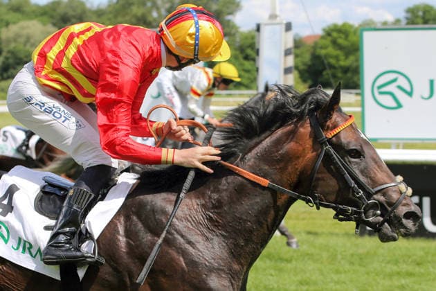 06 06 2026, Iffezheim, Baden Wuerttemberg, GER Seguro with Benjamin Marie wins the Japan Racing Association Derby Trial Galopprennbahn Baden Baden, Iffezheim Horse, Jockey, Seguro, Marie, Victory, Finish, Finish 260606B991IFFEZHEIM JPG