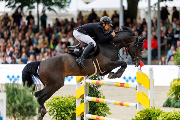 BALVE LONGINES Balve Optimum 2026, BALVE LONGINES Balve Optimum 2026 LAHMANN Daniel GER , Chess vd Berghoeve Z CHAMPIONAT VON BALVE presented by E Holding GmbH, Wocklum Gruppe and Paul Müller GmbH Int Jumping Competition with jump-off 1 45 m DIETER GRAF LANDSBERG VELEN GEDÄCHTNISPREIS Balve, Equestrian Center Schloss Wocklum 06 June 2026
