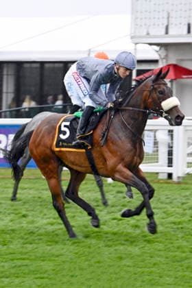 06 06 2026, Epsom, Surrey, GBR Love Dynasty with Billy Loughnane Epsom Downs racecourse horse, jockey, Love Dynasty, Loughnane, gallop 260606C703EPSOM JPG
