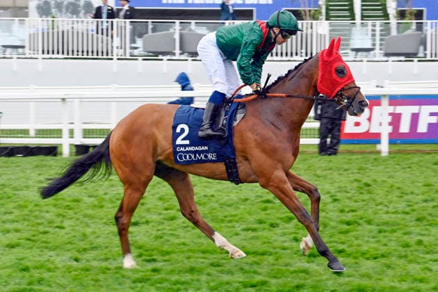 06 06 2026, Epsom, Surrey, GBR Calandagan with Mickael Barzalona Epsom Downs racecourse horse, jockey, Calandagan, Barzalona, gallop 260606C707EPSOM JPG