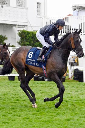 06 06 2026, Epsom, Surrey, GBR Lambourn with Wayne Lordan Epsom Downs racecourse horse, jockey, Lambourn, Lordan, gallop 260606C708EPSOM JPG