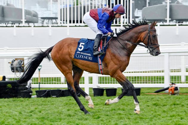06 06 2026, Epsom, Surrey, GBR Jan Brueghel with Ryan Moore Epsom Downs racecourse horse, jockey, Jan Brueghel, Moore, gallop 260606C709EPSOM JPG