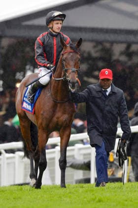 06 06 2026, Epsom, Surrey, GBR Maltese Cross with Tom Marquand Epsom Downs racecourse Horse, Jockey, Maltese Cross, Marquand 260606C717EPSOM JPG