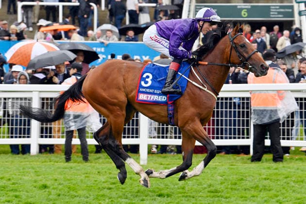 06 06 2026, Epsom, Surrey, GBR Ancient Egypt with David Egan Epsom Downs racecourse horse, jockey, Ancient Egypt, Egan, gallop 260606C726EPSOM JPG