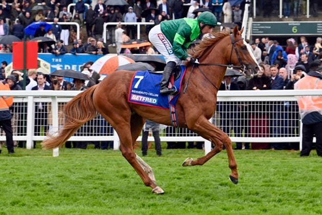 06 06 2026, Epsom, Surrey, GBR Benvenuto Cellini with Ryan Moore Epsom Downs racecourse horse, jockey, Benvenuto, Moore, gallop 260606C728EPSOM JPG