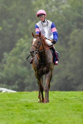 06 06 2026, Epsom, Surrey, GBR Bay of Brilliance with Hector Crouch Epsom Downs racecourse horse, Jockey, Bay of Brilliance, Crouch 260606C731EPSOM JPG