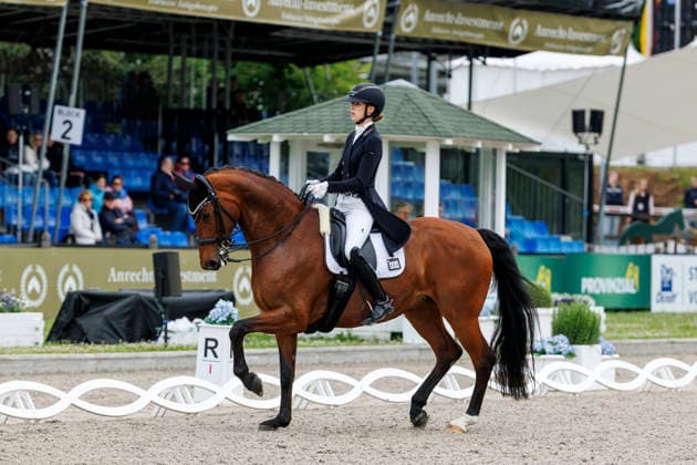 - Kür Deutsche Meisterschaften Dressur U25 Grand Prix Kür Balve, Reitanlage Schloss Wocklum 07. June 2026 -