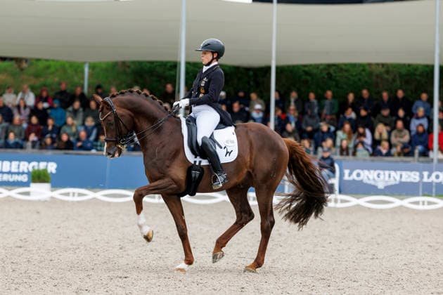 * Balve, Reitanlage Schloss Wocklum 07. June 2026 -