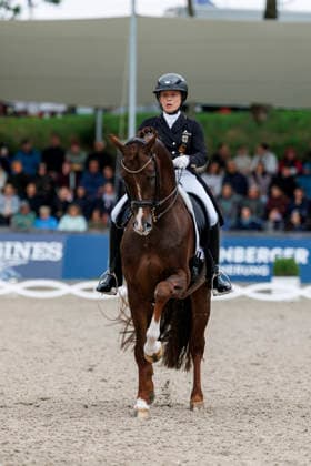 * Balve, Reitanlage Schloss Wocklum 07. June 2026 -