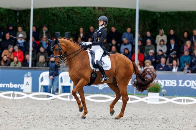 * Balve, Reitanlage Schloss Wocklum 07. June 2026 -