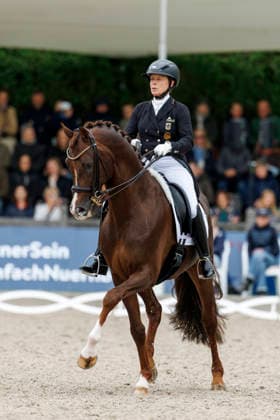 * Balve, Reitanlage Schloss Wocklum 07. June 2026 -