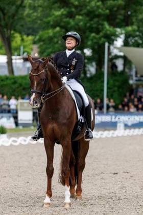 * Balve, Reitanlage Schloss Wocklum 07. June 2026 -