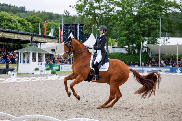 * Balve, Reitanlage Schloss Wocklum 07. June 2026 -